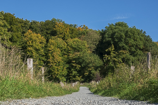 Wanderung von Bergisch Gladbach nach Odenthal