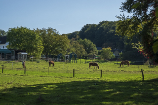 Wanderung von Bergisch Gladbach nach Odenthal