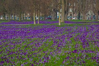 Das Blaue Band im Rheinpark in Düsseldorf