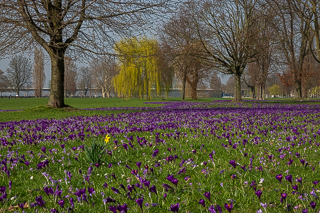 Das Blaue Band im Rheinpark in Düsseldorf