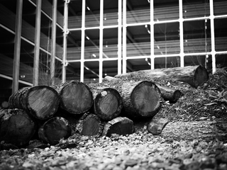 Mustererkennung in Monheim am Rhein