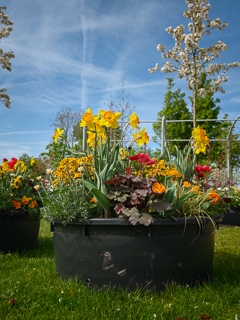 Ein Besuch auf der Landesgartenschau Neuss im April