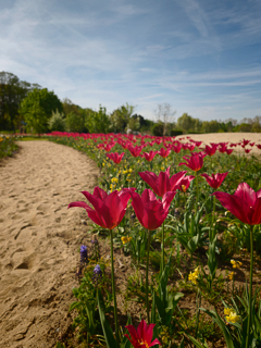 Ein Besuch auf der Landesgartenschau Neuss im April
