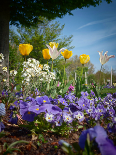 Ein Besuch auf der Landesgartenschau Neuss im April
