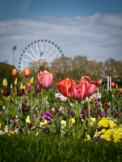 Ein Besuch auf der Landesgartenschau Neuss im April