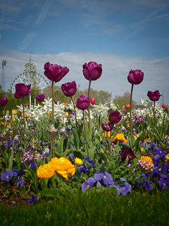 Ein Besuch auf der Landesgartenschau Neuss im April