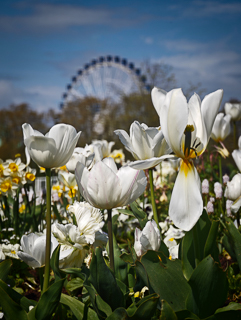 Ein Besuch auf der Landesgartenschau Neuss im April