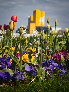 Ein Besuch auf der Landesgartenschau Neuss im April