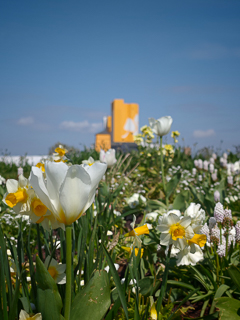 Ein Besuch auf der Landesgartenschau Neuss im April