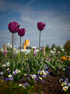 Ein Besuch auf der Landesgartenschau Neuss im April