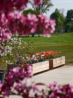 Ein Besuch auf der Landesgartenschau Neuss im April