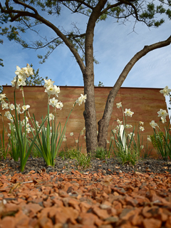 Ein Besuch auf der Landesgartenschau Neuss im April