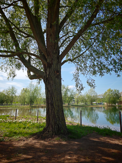 Ein Besuch auf der Landesgartenschau Neuss im April