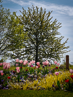 Ein Besuch auf der Landesgartenschau Neuss im April