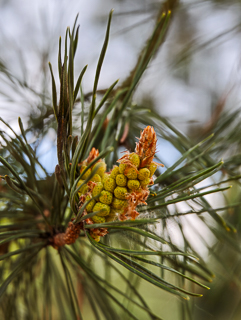 Ein Besuch auf der Landesgartenschau Neuss im April