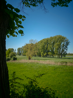Impressionen vom Urdenbacher Altrhein und den nahegelegenen Rheinauen