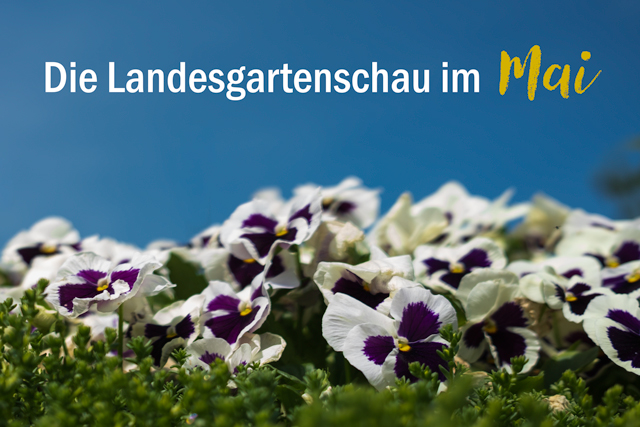 Die Landesgartenschau Neuss im Wonnemonat Mai
